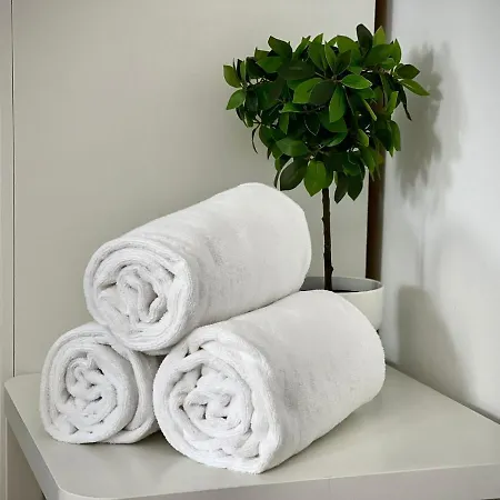 Anjomacar B * تيغيسي